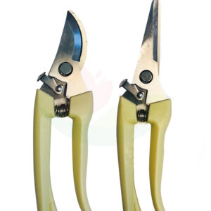 Shears